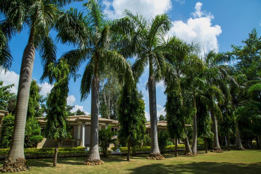 Tiger'S Den Resort Bandhavgarh National Park Ngoại thất bức ảnh