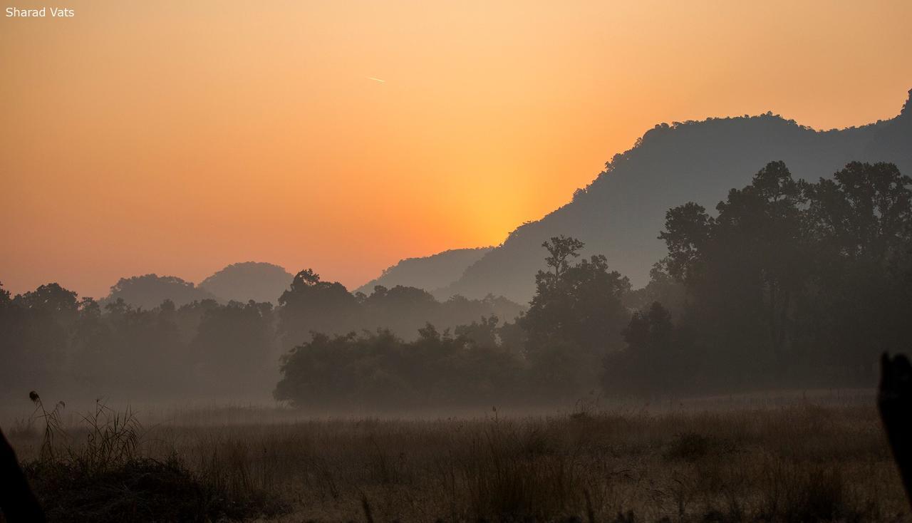 Tiger'S Den Resort Bandhavgarh National Park Ngoại thất bức ảnh